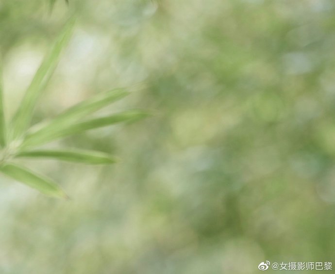 绿皮书